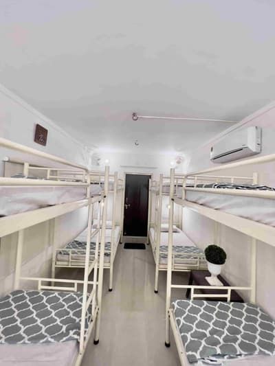 Main Image 6